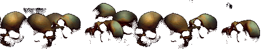 Skull Line